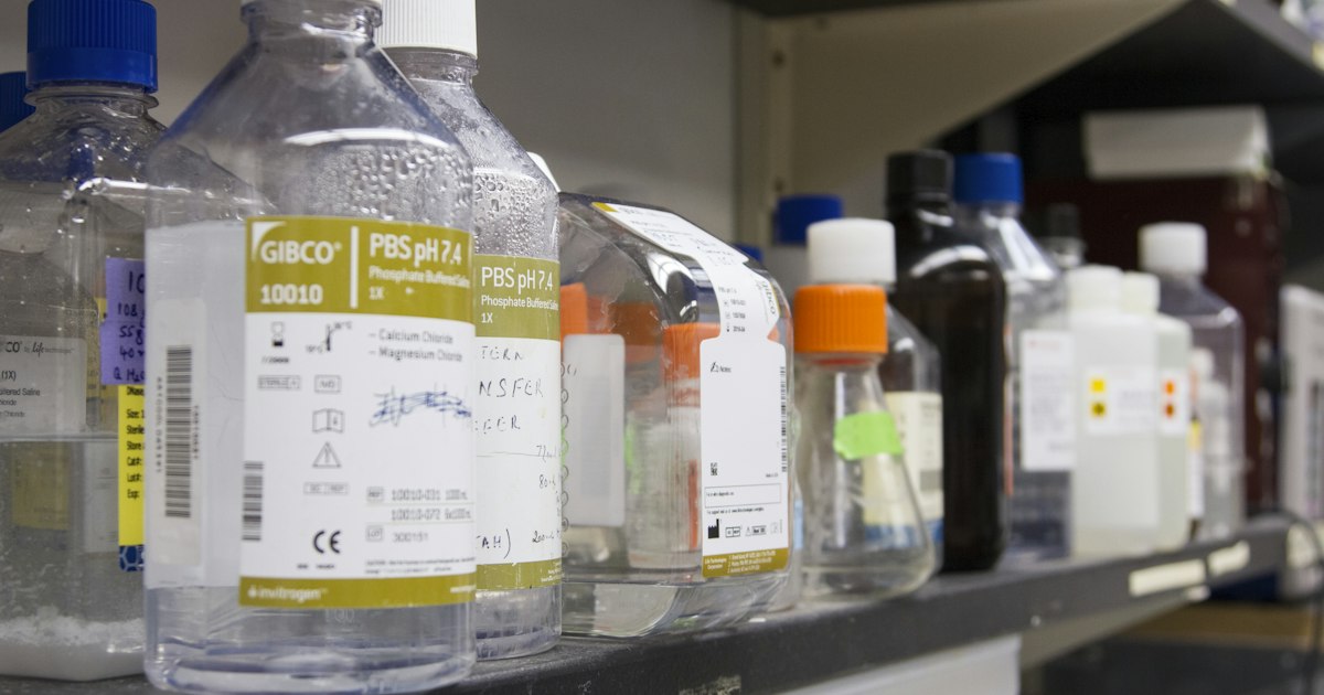 Magnesium in the Blood Above or Below Normal: Causes in Athletes and What to Do